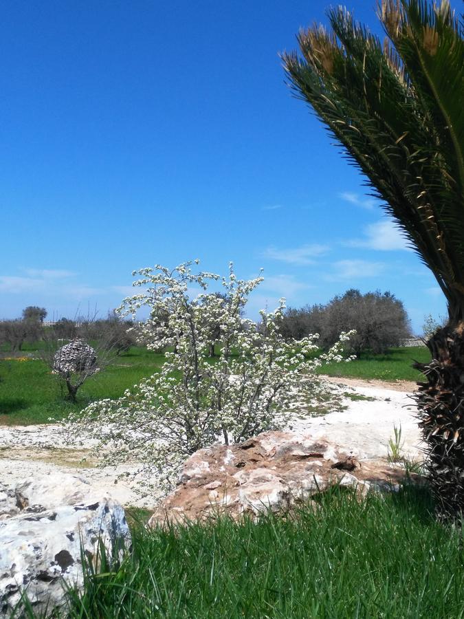 Отель Trulli Pietra Preziosa Мартина-Франка Экстерьер фото